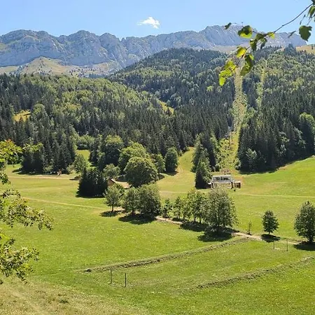 Agreable Et Lumineux Apartment