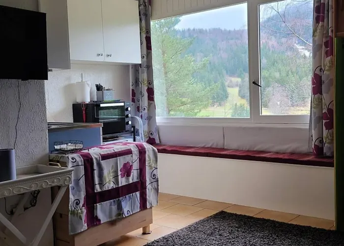 Agreable Et Lumineux * Villard-de-Lans