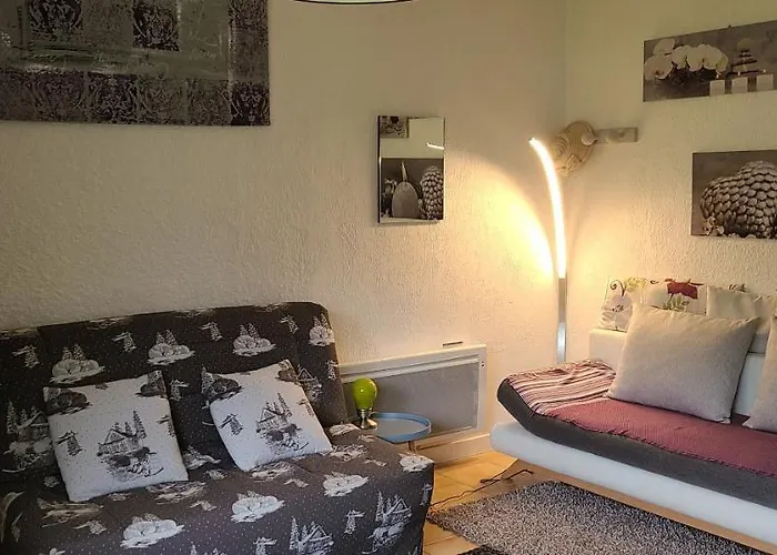 Apartman Agreable Et Lumineux *